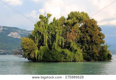 Island With Many Trees On The Lake