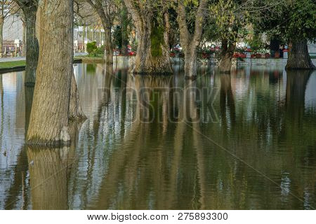 View Of The Trees In The Park Flooded By Intense Rains, Shkoder, Albania