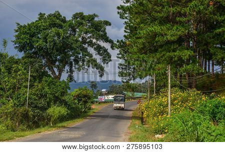 Mountain Road In Dalat, Vietnam