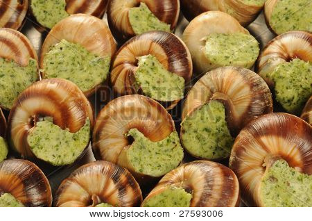 Šneci