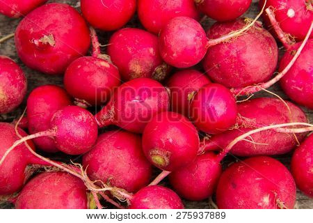 Fresh Healthy Red Raddisch Closeup