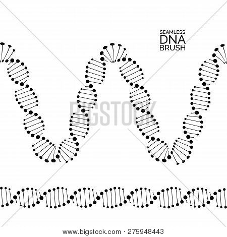 Human Dna Chain Or Genome Helix Molecule Seamless Lines