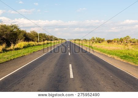 National Route 9 Highway Runs Through A Palm Forest And Grasses Of Paraguayan Chaco Savannah, Paragu