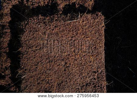 Substratum texture pattern background for garden agriculture coconut fiber