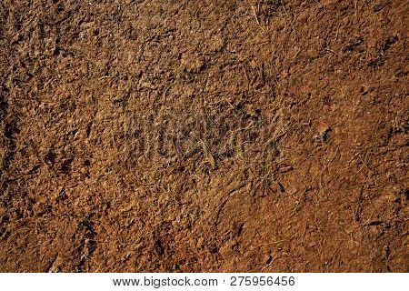 Substratum texture pattern background for garden agriculture coconut fiber