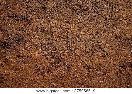 Substratum texture pattern background for garden agriculture coconut fiber