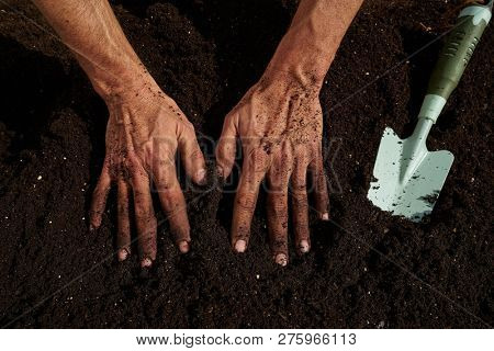 Farmer man hands dirty on substratum of urban garden orchard