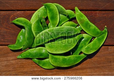 Garrofon mediterranean beans Phaseolus lunatus fresh on wood