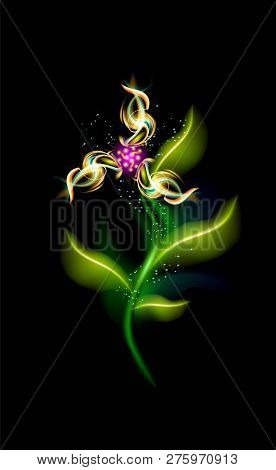Glowing Modern Flower Vector Three-blade. Colorful Ornamental Element Floral In Black Background. Be