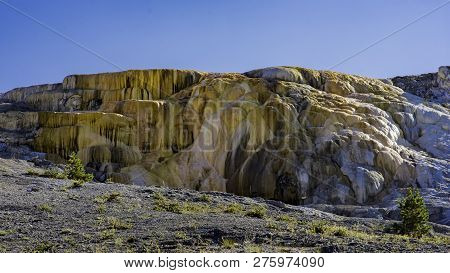 Colorful Formations Of Cleopatra Terrace At Mammoth Hot Springs Yellowstone National Park Wyoming Us