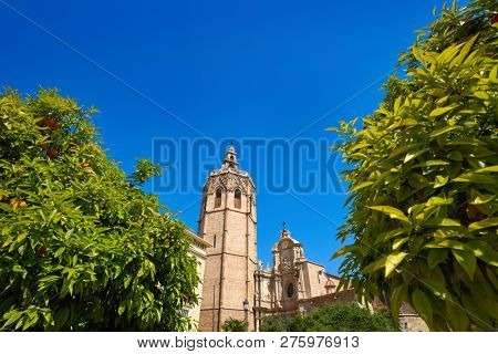Valencia Plaza de la Reina square Miguelete also Micalet tower in Spain