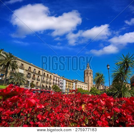 Valencia Plaza de la Reina square Miguelete also Micalet tower in Spain red flowers