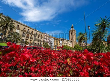 Valencia Plaza de la Reina square Miguelete also Micalet tower in Spain red flowers