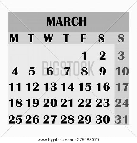 Calendar Design Month March 2019. Year 2019 Calendar. Simple Design For Calendar 2019. Calendar For 