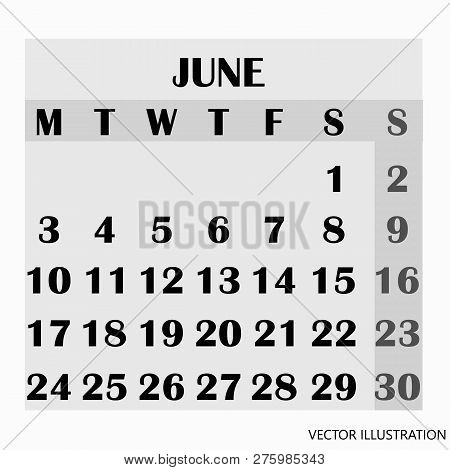 Calendar Design Month June 2019. Year 2019 Calendar. Simple Design For Calendar 2019. Calendar For O