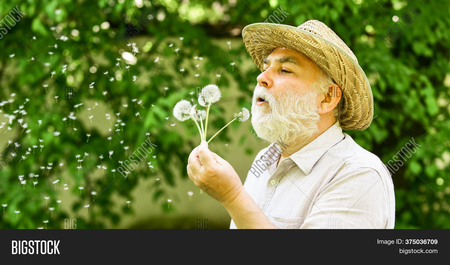Elderly Man Straw Image & Photo (Free Trial) Bigstock
