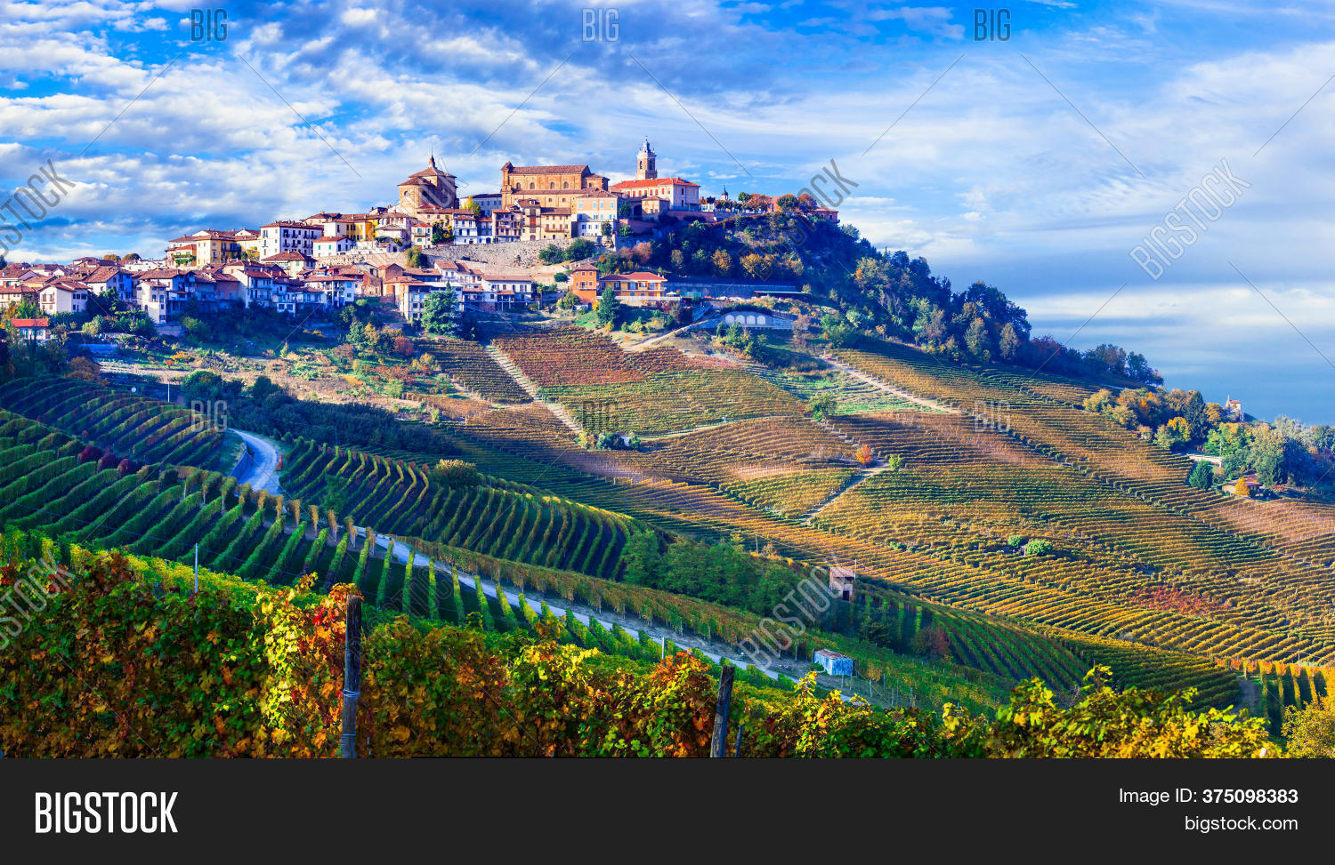 Golden Vineyards Image & Photo (Free Trial) Bigstock