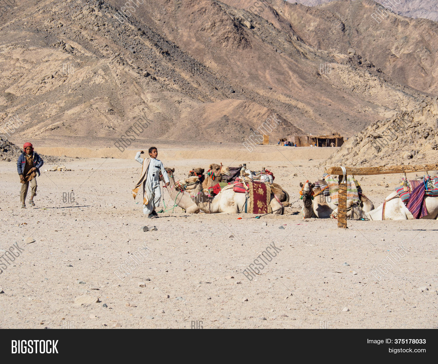 Bedouin Village Desert Image & Photo (Free Trial) Bigstock