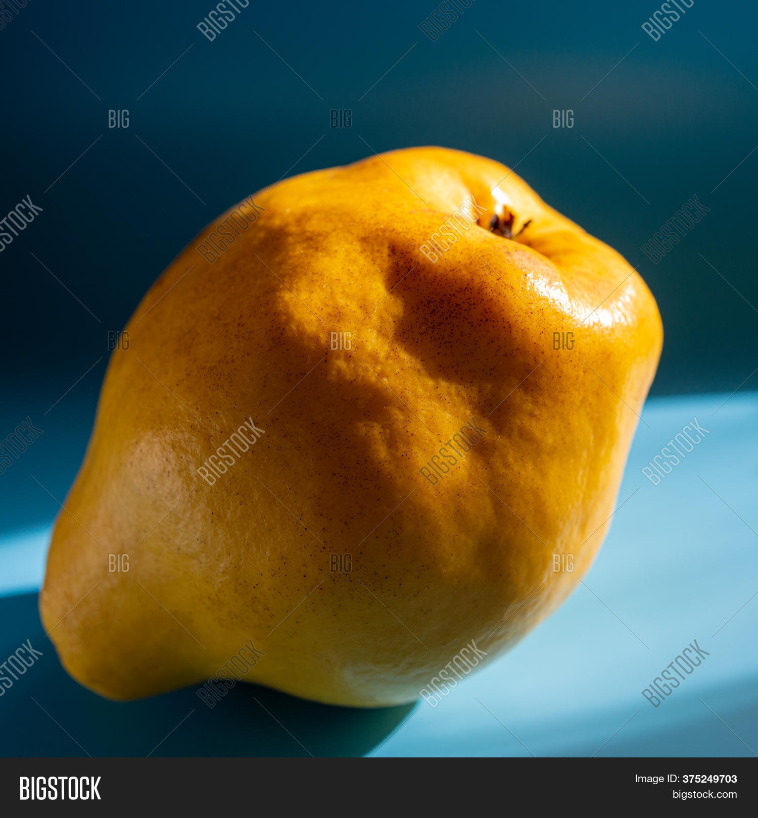 One Quince Fruit Lies Image Photo Free Trial Bigstock