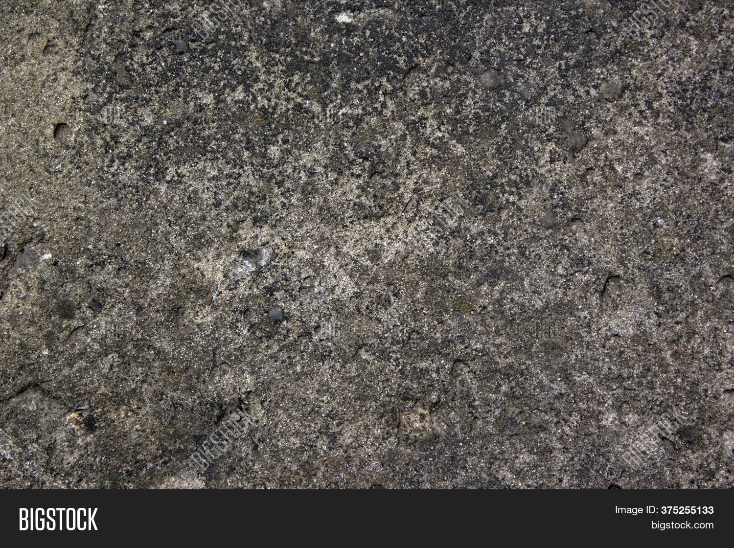 Muddy Concrete Wall Image & Photo (Free Trial) Bigstock