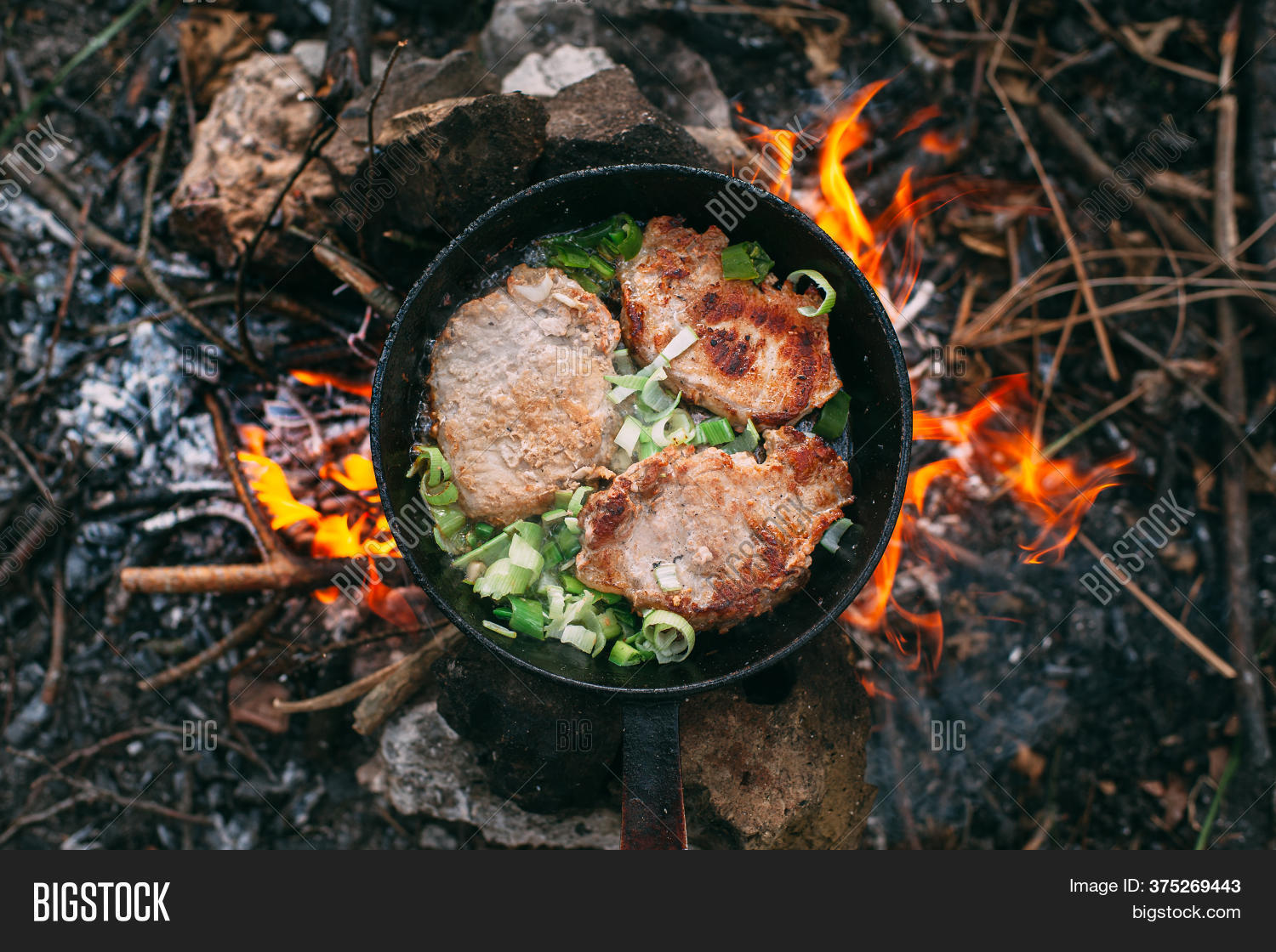 Frying Meat Pan Over Image & Photo (Free Trial) Bigstock