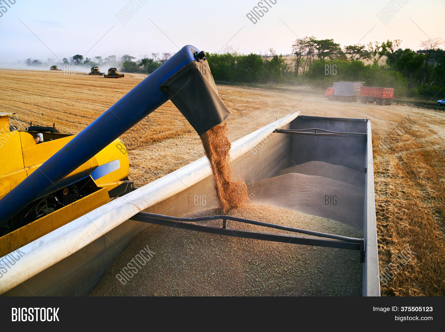 Overloading Grain Image & Photo (Free Trial) Bigstock
