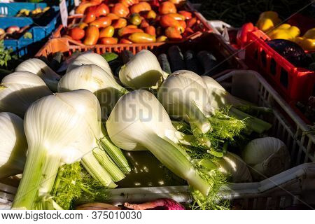 Fresh Fennel Bulbs At A Farmers Market In Italy