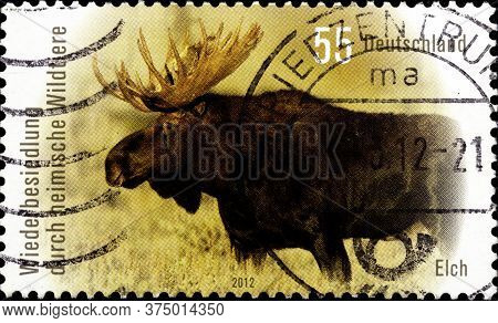 02 10 2020 Divnoe Stavropol Krai Russia The Postage Stamp Germany 2012 Repopulation Of The Indigenou