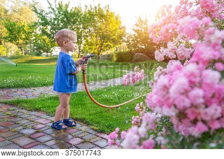 Cute Adorable Caucasian Blond Toddler Boy Enjoy Having Fun Watering Garden Flower And Lawn With Hose