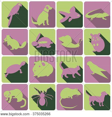 Set Of Colored Pets Icons. Animal Symbols With Shadows.
