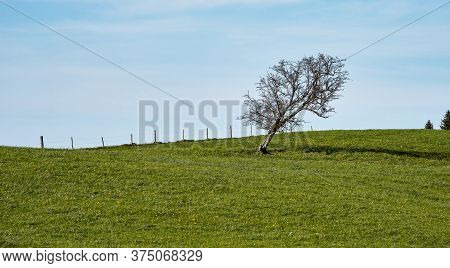 Landscape Near Nesselwang In Ostallgaeu In Bavaria In Germany. It Is An Often Photographed Market To
