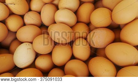 Large Quantities Of Chicken Eggs Ready For Sale