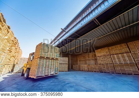 Forklift Loader Load Lumber Into A Dry Kiln. Wood Drying In Containers.