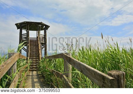 A Wooden Wildlife Observation Tower In The Wetlands Of Isola Della Cona In Friuli-venezia Giulia, No