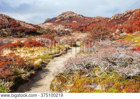 Indian Summer Forest Near The Fitz Roy In Autumn. Fitz Roy Is A Mountain Near El Chalten In Patagoni