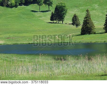 The Smaller Lake Schwendisee (hinter Schwendisee) In The Obertoggenburg Region, Wildhaus - Canton Of