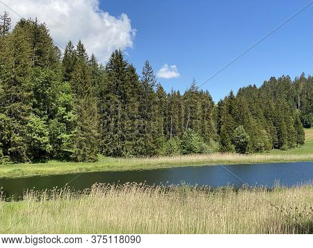 The Smaller Lake Schwendisee (hinter Schwendisee) In The Obertoggenburg Region, Wildhaus - Canton Of