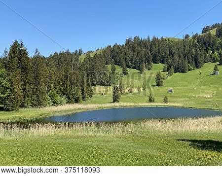 The Smaller Lake Schwendisee (hinter Schwendisee) In The Obertoggenburg Region, Wildhaus - Canton Of