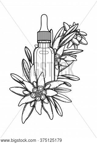 Graphic Essential Oil Bottle Decorated With Edelweiss Leaves And Flowers