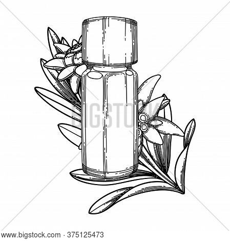 Graphic Essential Oil Bottle Decorated With Edelweiss Leaves And Flowers