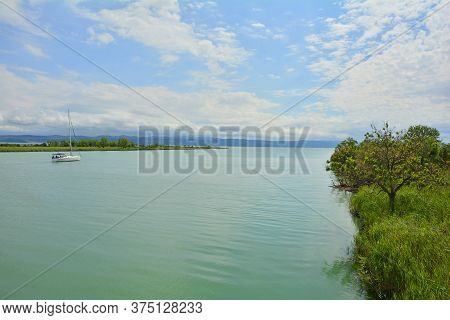 A Boat Sails Down The Waters Of The Wetlands Of Isola Della Cona In Friuli-venezia Giulia, North Eas