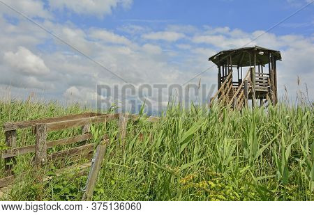 A Wooden Wildlife Observation Tower In The Wetlands Of Isola Della Cona In Friuli-venezia Giulia, No