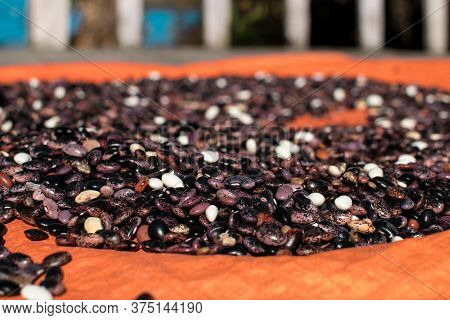 Assortment Of Colorful Beans Being Dried In The Sun On An Orange Tarp On A Farm At Annapurna Circuit