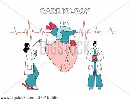 Cardiology Doctor Make Diagnos And Treatment Of Congential Heart Defect.