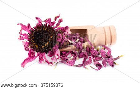 Dried Echinacea Flowers On Wooden Spoon, Isolated On White Background. Petals Of Echinacea Purpurea.