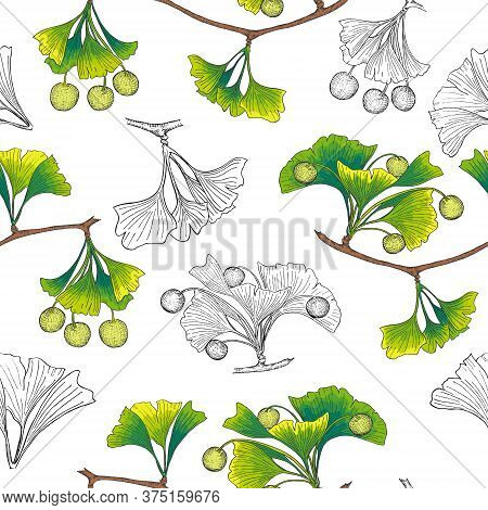 Pattern With Ginkgo Both Colored And Outlined