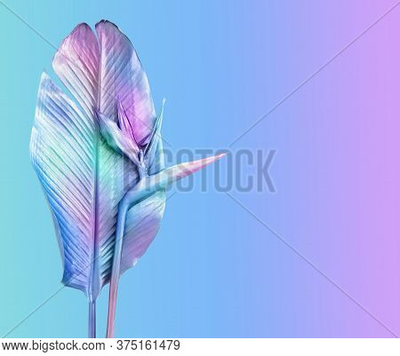 Multi Colored Tropical Flower And Leaf. Colorful Background.