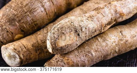 Brazilian Cassava, A Species Of Tuberous Plant In The Euphorbiaceae Family.