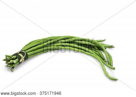 Raw Organic Yard Long Bean In Rustic Bundle On White Isolated Background With Clipping Path. Fresh Y