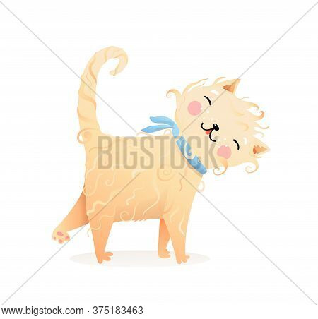 Cute Curly Fur Cat Or Kitten Purr Cartoon, Domestic Kitty Animal Illustration For Children, Kind And